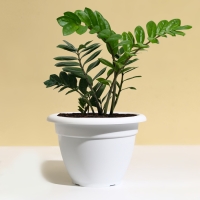 Горшок для цветов, d = 35 см, 12 л, пластик, белый