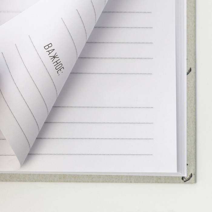 Ежедневник в твердой обложке А5, 80 л &laquo;Успех&raquo;