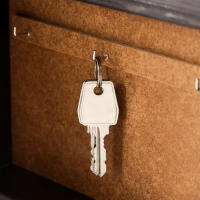 Ключница "Улицы Барселоны" венге 15х21 см