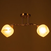 Люстра потолочная Николь 2хE27 40Вт Золото Люстра потолочная Николь 2хE27 40Вт Золото