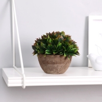 Бонсай в горшке "Густые листики" 13х11 см, микс Бонсай в горшке "Густые листики" 13х11 см, микс