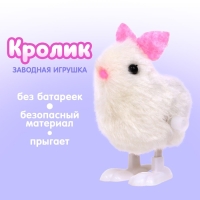 Заводная игрушка &laquo;Кролик&raquo;
