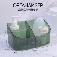 Органайзер для хранения &laquo;GREEN&raquo;, 3 секции, 18,5 &times; 9,5 &times; 10 см, цвет полупрозрачный/зелёный
