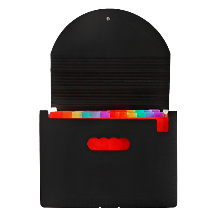 Папка на резинке А4, 24 отделения (разноцветные), чёрная