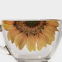 Чайная пара стеклянная &laquo;Живая природа. Подсолнух&raquo;, 250 мл