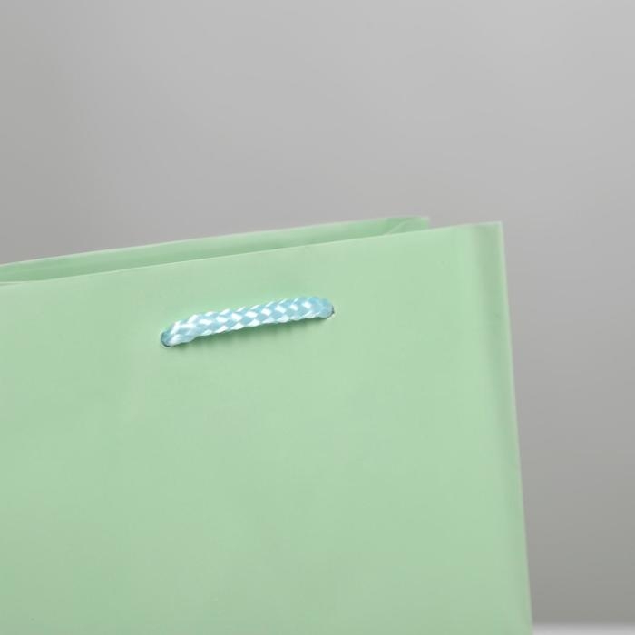 Пакет подарочный ламинированный, упаковка, &laquo;Зелёный&raquo;, MS 18 х 23 х 8 см