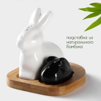 Набор фарфоровый для специй на бамбуковой подставке BellaTenero &laquo;Зайцы&raquo;, 3 предмета: солонка 50 мл, перечница 20 мл, подставка, цвет белый и чёрный