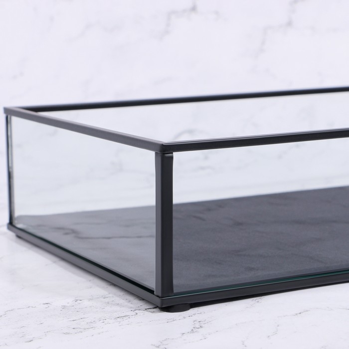 Органайзер для хранения &laquo;Square&raquo;, 1 секция, стеклянный, 29 &times; 17,5 &times; 6,5 см, цвет прозрачный/чёрный