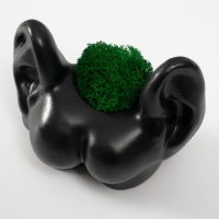 Кашпо бетонное "Попка с ушами" со мхом 8х10 см черный (мох зеленый стабилизированный) Кашпо бетонное "Попка с ушами" со мхом 8х10 см черный (мох зеленый стабилизированный)