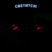 Динозавр &laquo;Дракон&raquo;, световые и звуковые эффекты, работает от батареек