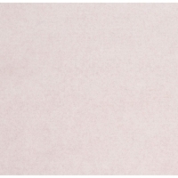 Калька чертёжная под карандаш, ширина 420 мм, в рулоне 20 метров, 40 г/м², в ПП плёнке Калька чертёжная под карандаш, ширина 420 мм, в рулоне 20 метров, 40 г/м², в ПП плёнке