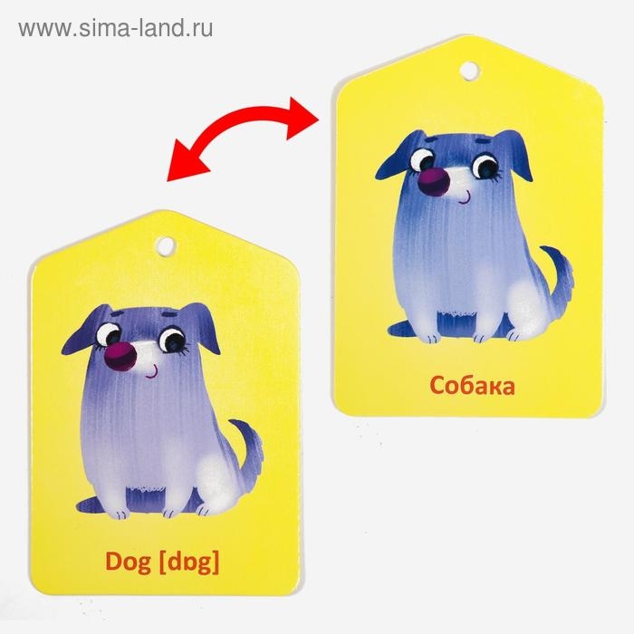 Карточки на кольце для изучения английского языка &laquo;Мамы и детёныши&raquo;, 20 карт, кольцо, 3+