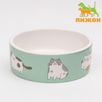Миска керамическая "Котяры" 300 мл 12,5 x 4,5 cм, бело-зелёная Миска керамическая "Котяры" 300 мл 12,5 x 4,5 cм, бело-зелёная