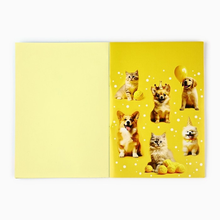 Альбом детских наклеек &laquo;Лучшие друзья&raquo;, 11 х 16 см