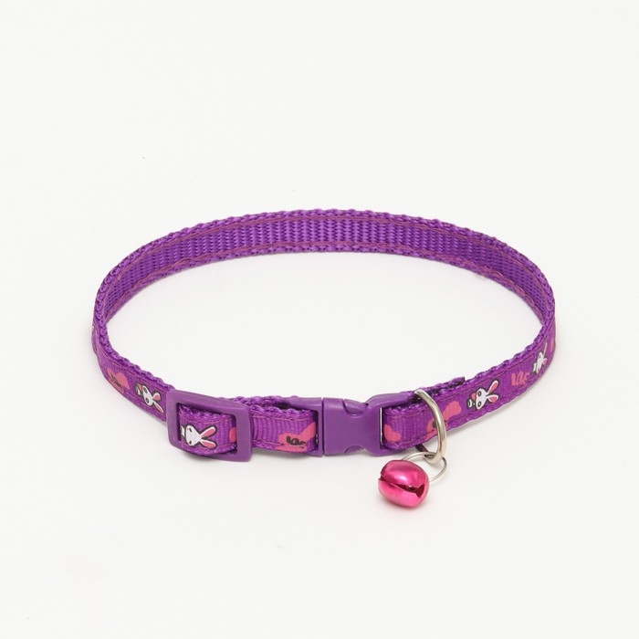 Ошейник двухслойный с фастексом Ошейник двухслойный с фастексом "Зайки", 30 х 1 см, фиолетовый