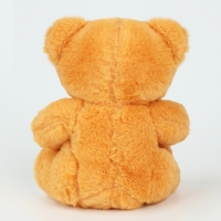 Мягкая игрушка с пледом &laquo;Медведь&raquo;