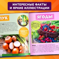 Фотоэнциклопедия для детей &laquo;Мир вокруг нас&raquo;, 48 стр.