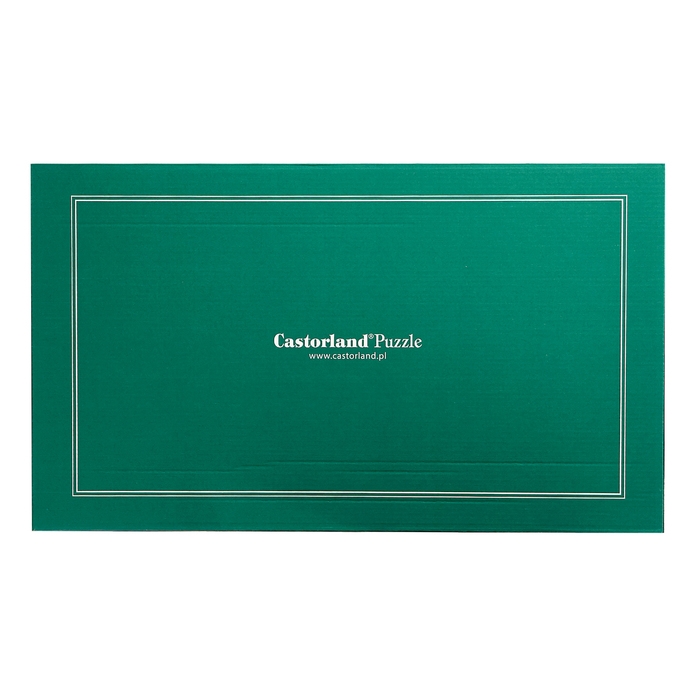 Пазл &laquo;Карнавал в Рио-де-Жанейро&raquo;, 4000 элементов