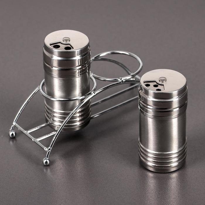 Набор для специй из нержавеющей стали на подставке &laquo;Металлик&raquo;, 100 мл, 2 шт, цвет серебряный