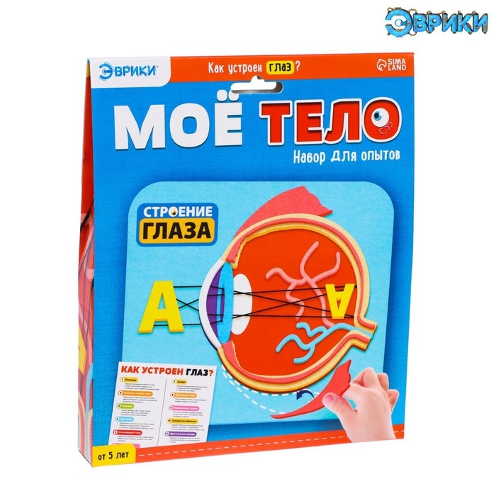 Набор для опытов &laquo;Моё тело&raquo;, глаз