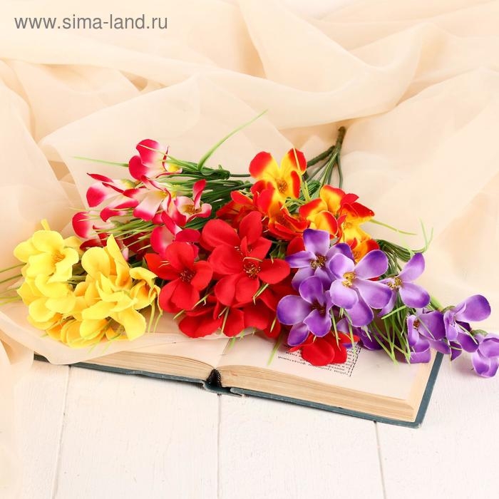 Букет "Фресия" 28 см, микс