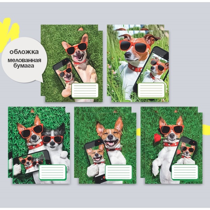 Комплект тетрадей из 10 штук, 12 листов в клетку Calligrata Комплект тетрадей из 10 штук, 12 листов в клетку Calligrata "СелфиDOG", обложка мелованная бумага, ВД-лак, блок офсет, 5 видов по 2 штуки