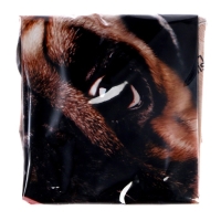 Воздушный шар фольгированный 24" &laquo;Песик с днем рождения&raquo;, без подложки