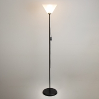 Торшер "Изи" 1х15Вт Е27 МОДЕЛЬ: BR 01006 черный/прозрачный