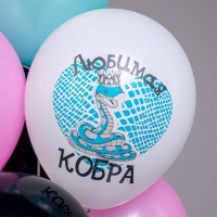 Шар латексный 12" «Оскорбления для неё! Любимая кобра!», 5 диз., 1 ст., 2 цв., набор 25 шт. Шар латексный 12" «Оскорбления для неё! Любимая кобра!», 5 диз., 1 ст., 2 цв., набор 25 шт.