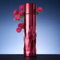 Термос Gems Red Rubine, красный рубин Термос Gems Red Rubine, красный рубин