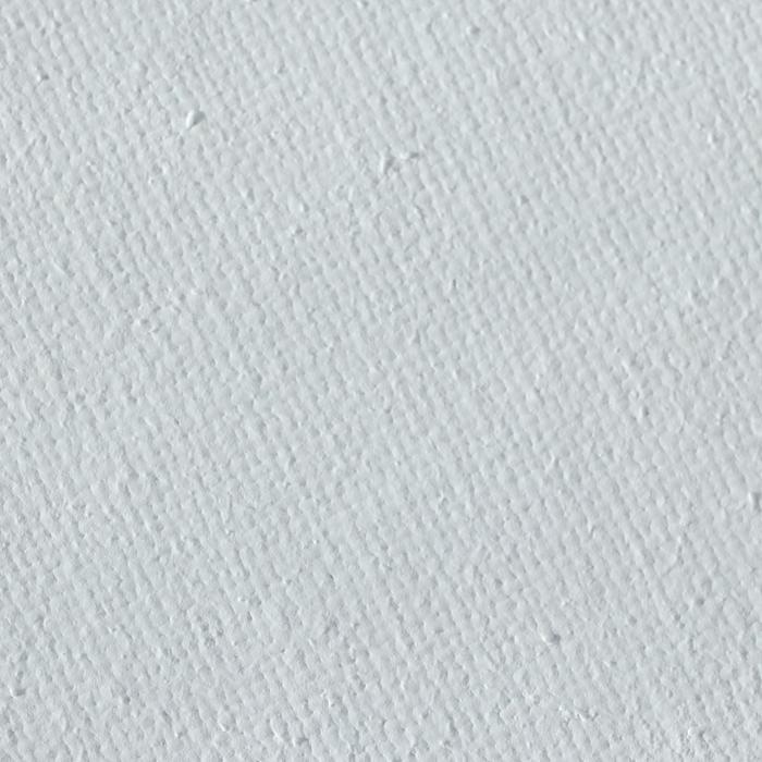 Холст на картоне 50 х 60 см, хлопок 100%, 2 мм, акриловый грунт, АКВАРЕЛЬНЫЙ, мелкозернистый, Гамма Холст на картоне 50 х 60 см, хлопок 100%, 2 мм, акриловый грунт, АКВАРЕЛЬНЫЙ, мелкозернистый, Гамма "Московская палитра"