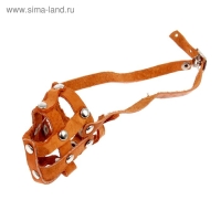 Намордник кожаный сетчатый №0, такса (длина по носу 4,5 см, обхват морды 14 см), чёрный Намордник кожаный сетчатый №0, такса (длина по носу 4,5 см, обхват морды 14 см), чёрный