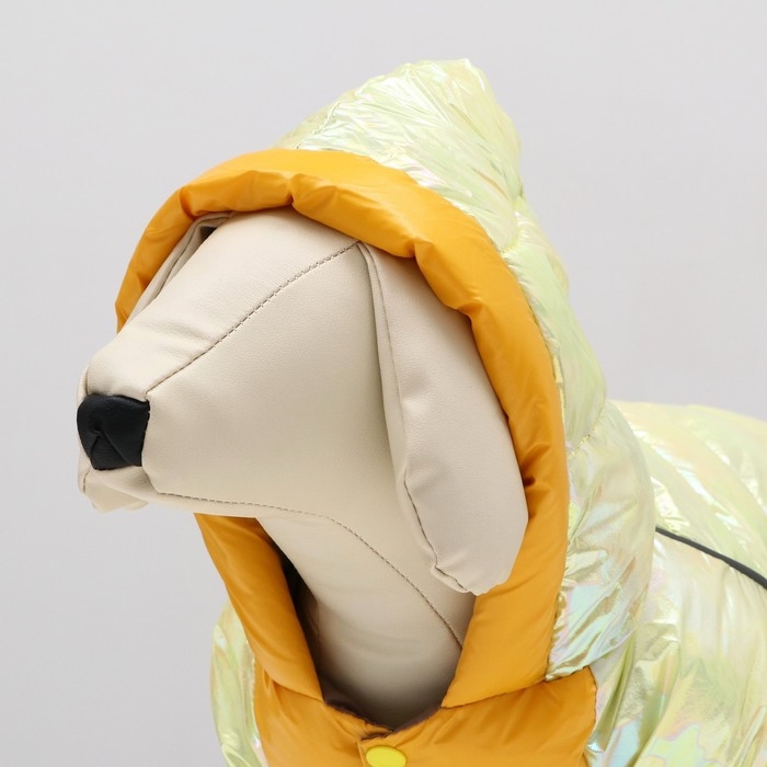 Комбинезон "Эфир", размер 8 (ДС 23, ОГ 30, ОГ 22 см), жёлтый