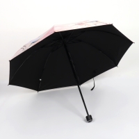 Зонт механический «Лилии», эпонж, 4 сложения, 8 спиц, R = 47/55 см, D = 110 см, цвет МИКС Зонт механический «Лилии», эпонж, 4 сложения, 8 спиц, R = 47/55 см, D = 110 см, цвет МИКС