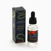 Аромамасло «Новогодняя коллекция: Мечтай», аромат леса Аромамасло «Новогодняя коллекция: Мечтай», аромат леса