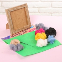 Валяние из шерсти. Объёмная картина &laquo;Енот&raquo;, 10 х 10 см