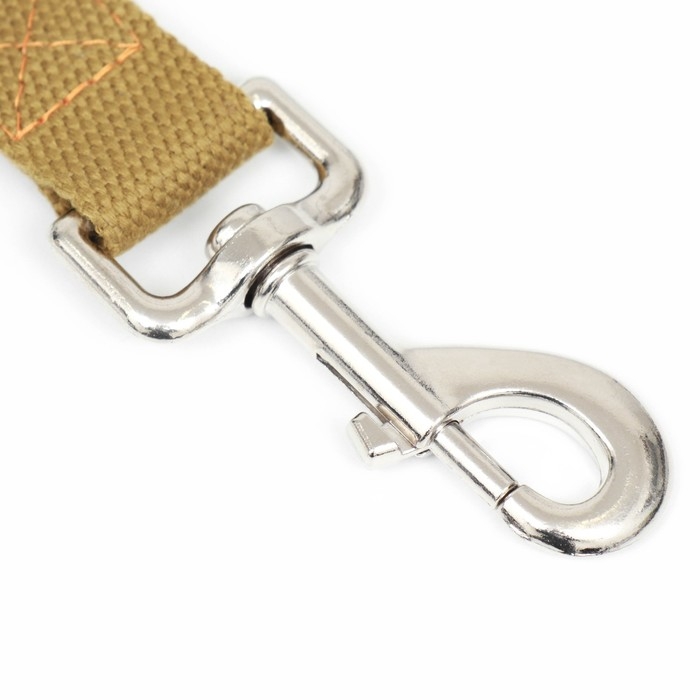 Поводок брезентовый, 1.6 м х 2.5 см, песочный Поводок брезентовый, 1.6 м х 2.5 см, песочный