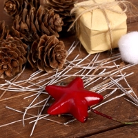 Набор новогоднего декора "Незабываемый праздник" размер шишек: 1,5 × 2 см Набор новогоднего декора "Незабываемый праздник" размер шишек: 1,5 × 2 см