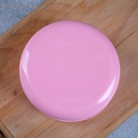 Ланч-бокс &laquo;Мне сладкое нельзя&raquo;, 500 мл