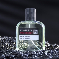 Туалетная вода мужская Pro-Energy Platinum, 100 мл (по мотивам Egoiste Platinum (Chanel) Туалетная вода мужская Pro-Energy Platinum, 100 мл (по мотивам Egoiste Platinum (Chanel)