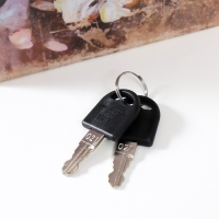 Сейф-книга дерево кожзам "Цветник. Ретро" 21х13х5 см Сейф-книга дерево кожзам "Цветник. Ретро" 21х13х5 см