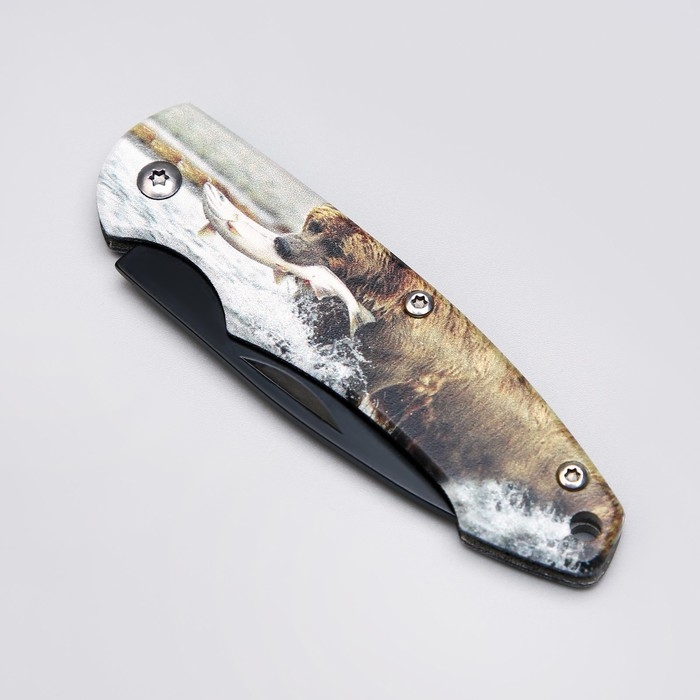 Нож складной Нож складной "Медведь на охоте" 12,6см, клинок 70мм/2,3мм, в подарочной коробке