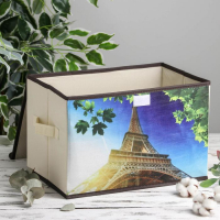 Короб стеллажный для хранения с крышкой &laquo;Эйфелева башня&raquo;, 38&times;25&times;24 см