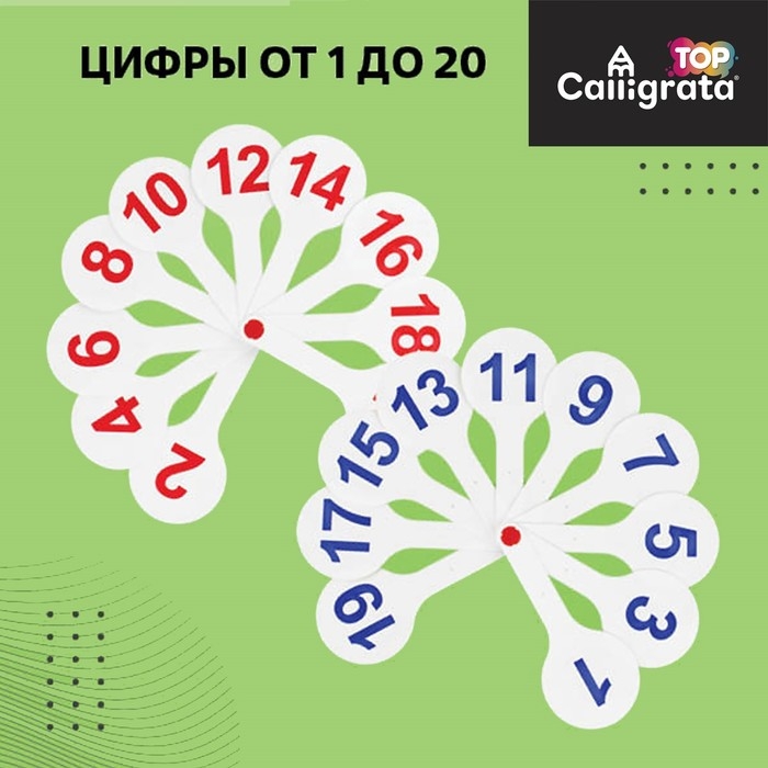Набор веер-касс, гласные, согласные, цифры от 1 до 20, Calligrata TOP, плотные, 3 штуки, пакет с европодвесом Набор веер-касс, гласные, согласные, цифры от 1 до 20, Calligrata TOP, плотные, 3 штуки, пакет с европодвесом