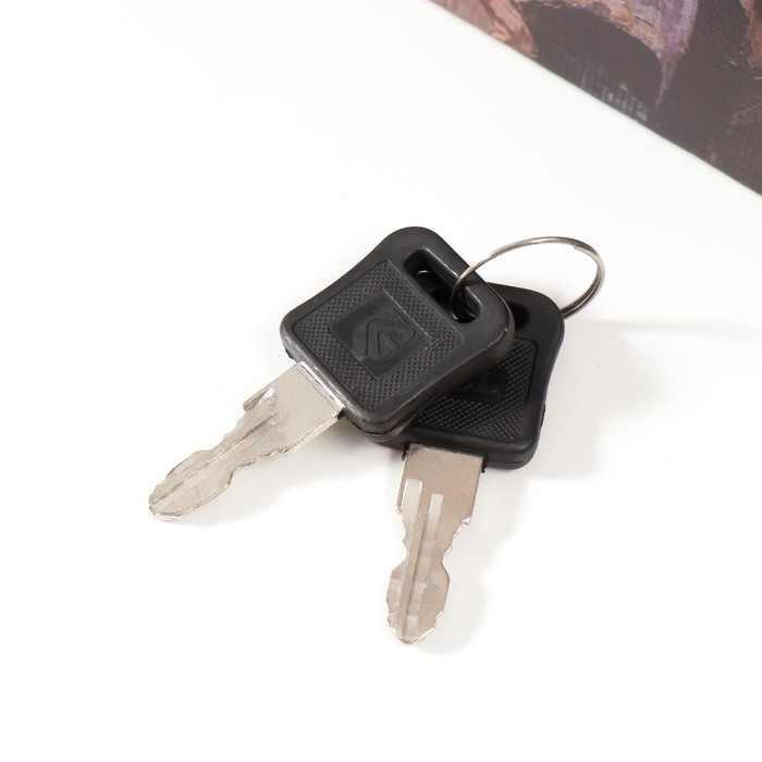 Сейф-книга дерево кожзам Сейф-книга дерево кожзам "Скрипка в женских руках" 21х13х5 см