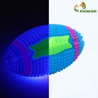 Мяч для собак светящийся с пищалкой "Регби", TPR, 7 см, голубой Мяч для собак светящийся с пищалкой "Регби", TPR, 7 см, голубой