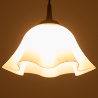 Люстра "Ирис" 1х15Вт Е27 МОДЕЛЬ: BR 00260 черный/белый 28х28х14см Люстра "Ирис" 1х15Вт Е27 МОДЕЛЬ: BR 00260 черный/белый 28х28х14см