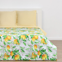 Постельное бельё &laquo;Этель&raquo; 1.5 сп Лимонное утро 143&times;215см, 150&times;214см, 70&times;70см-2 шт, 100% хлопок, бязь 125 г/м&sup2;