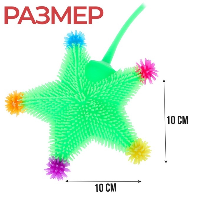 Антистресс сквиш мялка «Звёзды», цвета МИКС, в шоубоксе Антистресс сквиш мялка «Звёзды», цвета МИКС, в шоубоксе
