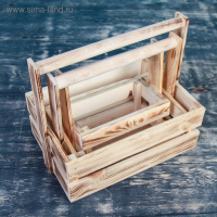 Набор кашпо деревянных подарочных "Модерн", 3 в 1, с ручкой, экзотик